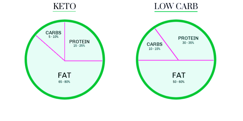 keto diet for beginners, keto diet for vegetarians, keto diet for weight loss, keto diet for vegans, keto diet for diabetics, keto diet for dummies, keto diet for losing weight, keto diet for diabetes type 1, keto diet for type 1 diabetes, keto diet for type 2 diabetes, keto diet for cancer, keto diet for beginners free, keto diet for dogs, keto diet for beginners book, keto diet for epilepsy, keto diet for fatty liver, keto diet for seizures, keto diet for weight loss plan, keto diet for hypothyroidism, keto diet for athletes, the complete ketogenic diet for beginners free pdf, keto diet for high cholesterol, keto diet for rheumatoid arthritis,