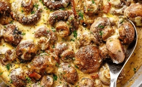 keto mushrooms, are mushrooms keto, keto stuffed mushrooms, mushrooms on keto, keto mushroom soup, are mushrooms keto friendly, insurance kokomo indiana, afforadable car insurance, afforadable insurance, homeowners insurance quotes az,